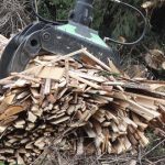 ¿Qué es la biomasa y cómo se produce?